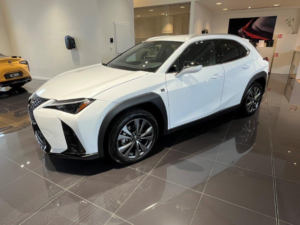 Lexus UX 300h  2,0l